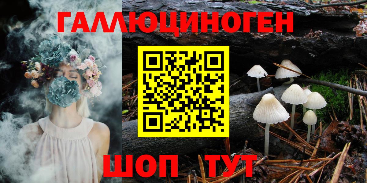 Галлюциногенные грибы Psilocybine cubensis  Псилоцибиновые грибы Cubensis  Вход с VPN  Петрозаводск 