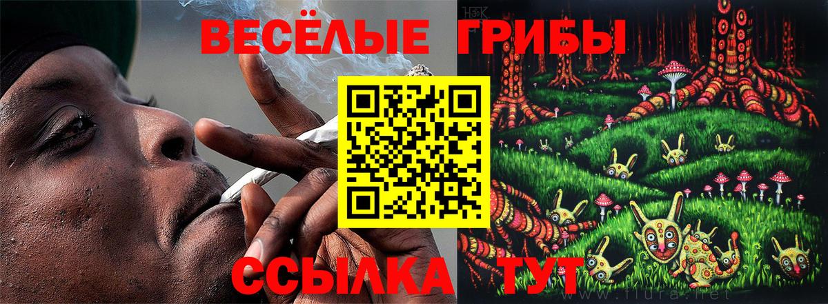 Галлюциногенные грибы мухоморы Петрозаводск
